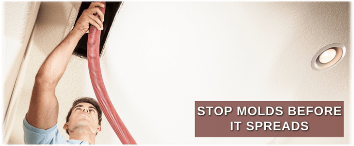 Air Duct Mold Removal in Detroit MI