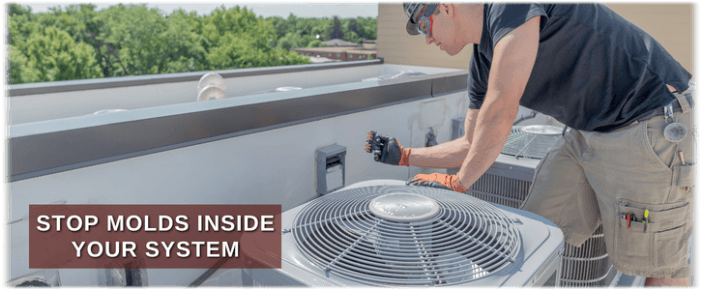 HVAC Mold Removal Detroit MI